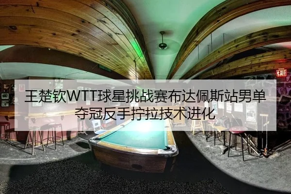 王楚钦WTT球星挑战赛布达佩斯站男单夺冠反手拧拉技术进化